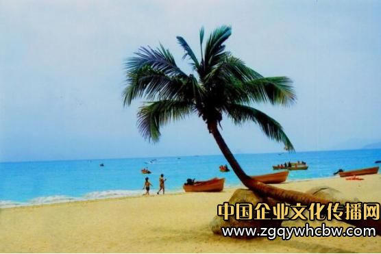 三亞椰樹.JPG