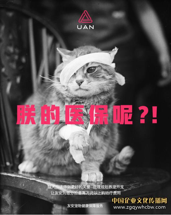 焦點(diǎn)圖.JPG