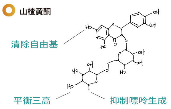 QQ圖片20210528160350.png