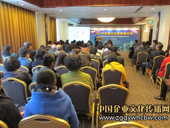 僑外中英企業(yè)家高峰論壇首戰(zhàn)告捷2.JPG
