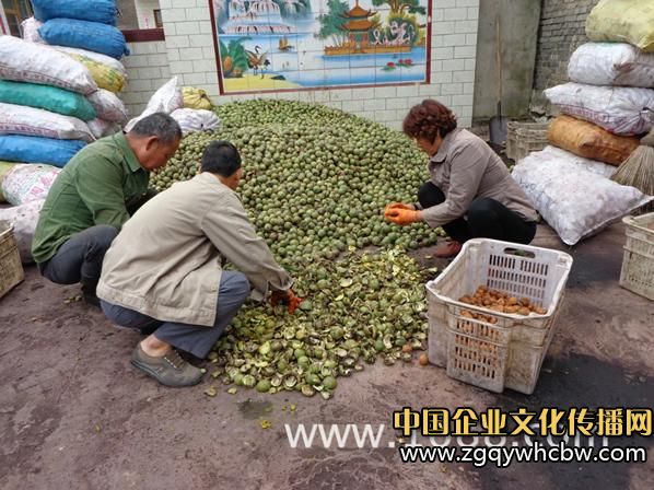 輪椅上的夢想——我的核桃人生1.JPG
