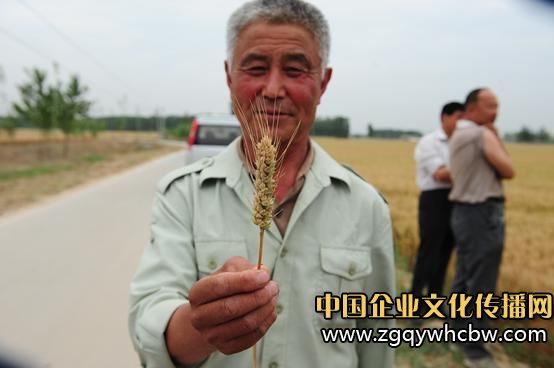 藍(lán)天化工:糧田測產(chǎn)帶來增產(chǎn)風(fēng)暴.jpg