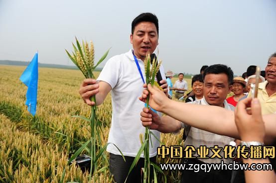 藍(lán)天化工:糧田測產(chǎn)帶來增產(chǎn)風(fēng)暴1.JPG