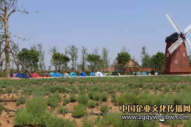 2015中國首屆兒童露營大會完美落幕2.JPG