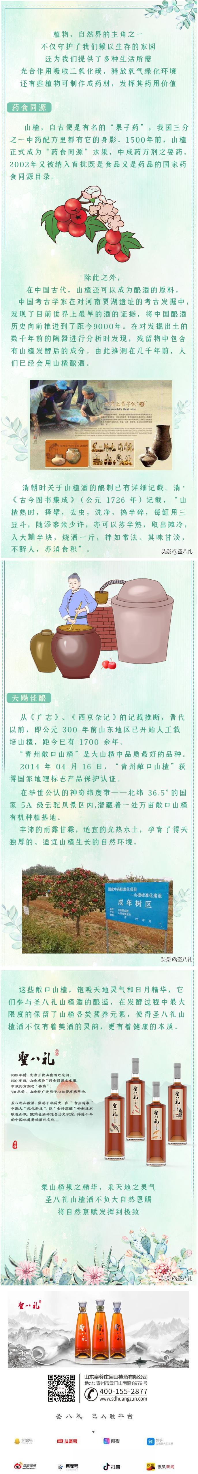 1.JPG