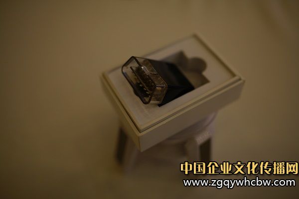 IMG_3510.JPG